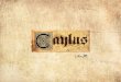 Caylus - English rules - Ystari · PDF filethe player who has earned the most prestige wins the game. Caylus - English rules A game by William Attia Illustrations by Arnaud Demaegd