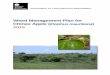Chinee apple management plan - NT.GOV.AU · PDF fileWeed Management Plan for Chinee Apple (Ziziphus mauritiana) 2015 iii Executive summary This Weed Management Plan forms part of a
