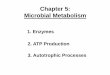 Chapter 5: Microbial Metabolism - Untitled Page · PDF fileTo step 5 glycolysis Fatty acid To electron transport chain Acetyl-CoA To Krebs cycle Shorter fatty acid Beta-oxidation 