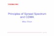 Mike Fitton - Wirelesswireless.ictp.it/school_2001/lectures/fitton/spread_spec.pdf · – Very resistant to jamming and interference, ... • The GSM specification includes the possibility