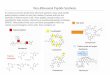 Non-Ribosomal Peptide Synthesis - UZHffffffff-9520-0a4a-0000-000078a... · Non-Ribosomal Peptide Synthesis In contrast to proteins produced by ribosomal synthesis, ... PCP-bound acceptor