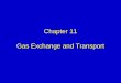 Chapter 11 Gas Exchange and Transport s/Egan...Abnormalities of Gas Exchange and Transport (cont.) Impaired DO 2 due to Hb deficiencies