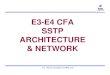 E3-E4 CFA SSTP ARCHITECTURE & NETWORKbsnltnj1.webs.com/e3e4/cfa/13-E3-E4 CFA-SSTP Architecture.pdf · Need of SSTP Objectives of SSTP ... SSTP handle the non call related messages