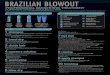 PROFESSIONAL SMOOTHING TREATMENT - Brazilian …brazilianblowout.com/literature/BB_TREATMENT_SUMMARY_AA.pdf · 1 shampoo Introducing our ... - To transition from relaxed hair to natural,