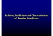 Isolation Purification and CharacterisationIsolation ... · PDF fileIsolation Purification and CharacterisationIsolation, Purification and Characterisation of Proteins from Plants