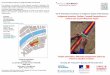 The 6th International Conference on Indigenous Textiles of ...crh.ehess.fr/docannexe/file/3394/programme_ptextiles_2013.pdf · THURSDAY NOVEMBER 28 16:40 13:30 Monos, avispas y dioses