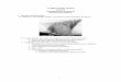 Cardiovascular System - University of Arizona · PDF fileCardiovascular System ANS 215 Physiology and Anatomy of Domesticated Animals I. Structure and Function A. Heart is a cone-shaped,