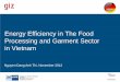 Energy Efficiency in The Food Processing and Garment ... · PDF fileEnergy Efficiency in The Food Processing and Garment Sector in ... Vietnam ’ emission ... There are about 2400