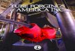 TUBE FORGINGS of AMERICA INC Catalog.pdf · Tube Forgings of America, Inc.. ... Weight Conversion: Pound to Kilograms (1 pound=0.453592 Kilogram) G D T F A 2 S T D W ... Pipe Size