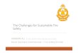4)29th 1515- The challenges for sustainable fire  · PDF fileThe Challenges for Sustainable Fire ... (UBBL) 1984 1984 ... The challenges for sustainable fire safety