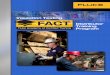 Insulation Testing Distributor Training Program - Flukeassets.fluke.com/FACT/InsulationTesting.pdf · During the testing procedure, the high dc ... Polarization index (PI) and dielectric