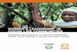 WOMEN’S LEADERSHIP IN COCOA LIFE COMMUNITIES/media/CocoaLife/en/download/article/w... · This report was commissioned by ... explore a female mentorship or internship program for