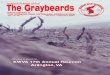 The Graybeards - · PDF fileThe Graybeards The Magazine for ... 2nd VICE PRESIDENT Ed Grygier ... a platoon. The attackers seemed to move up the hill among their own artillery shells