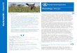Country: Kenya - wfp.org Kenya MayAugust 2015... · flooding include Nairobi as well as eastern and ... selecting and contracting traders, ... performance of children in public schools