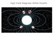 High Field Magnetic White Dwarfs - Institute of Astronomy ...  Field Magnetic White Dwarfs ... B = 1 Tesla could produce a white dwarf of 107 m radius ... 117,000T 2 4 2 1 2 3 2 0