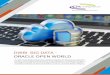 DWBI BIG DATA - ORACLE OPEN WORLD - ITC · PDF fileORACLE OPEN WORLD. We have an established long-term partnership with Oracle to oﬀer services in consulting, ... Oracle Warehouse
