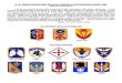U. S. ARMY SHOULDER SLEEVE INSIGNIA AUTHORIZED · PDF file1 U. S. ARMY SHOULDER SLEEVE INSIGNIA AUTHORIZED SINCE 1989 (Revised June 2013) I invite my friends to use this document freely