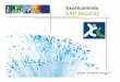 Excelcomindo SAP Security - Saatnya kita jelajah dunia SAP · PDF file• SAP Security Concept • Authorization Concept Contents: • Understand the concept of authorization profiles