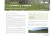e eaning oet - WA - DNR · PDF filee eaning oet 3 3 Page 1. ue 2 . z. toe 2017. The lessons learned on the Olympic Peninsula are now being used in a