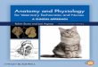 Anatomy and Physiology for Veterinary Technicians and · PDF fileA John Wiley & Sons, Inc., Publication llustrations by Robin Sternberg, LVT Anatomy and Physiology for Veterinary Technicians