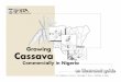 casava illust guid book 3 - Cassava home images/casava illust guid... · Step 3. Choose desirable varieties The best cassava varieties: • Grow fast • Give good yields • Tolerate