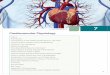 Cardiovascular Physiology - Jones & Bartlett Learningsamples.jbpub.com/9781284035179/9781284030341_CH07_Secure.pdf · 144 CHAPTER 7 — Cardiovascular Physiology Introduction The