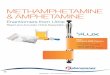 METHAMPHETAMINE & AMPHETAMINE - Phenomenexphx.phenomenex.com/lib/BR42440416_w.pdf · Rapid and Accurate Chiral Separation METHAMPHETAMINE & AMPHETAMINE Enantiomers from Urine New