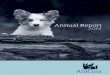 AniCura Annual Report 2014 · PDF filefirst choice for owners of animal hospitals and clinics ... MULTIPLE-YEAR OVERVIEW ... Total intangible fixed assets 443 783 351 729