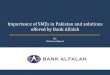 Importance of SMEs in Pakistan and solutions offered by ... · PDF fileImportance of SMEs in Pakistan and solutions offered by Bank Alfalah By: Mehreen Ahmed