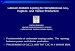 Calcium Sorbent Cycling for Simultaneous CO2 Capture · PDF file950 kg clinker 66% CaO 1117 kg CaCO 3 325 kg marl, clay, shale Fuel 72 kg Air (491 from limestone + 172 from fuel) 663