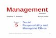Social Responsibility and Managerial Ethicssvbitce2010.weebly.com/uploads/8/4/4/5/...managerial_ethics.pdf · Managerial Ethics Ethics Defined Principles, values, and beliefs that