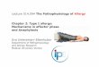 Lecture 514.094 The Pathophysiology of Allergy Chapter · PDF fileLecture 514.094 of the Medical University Vienna The Pathophysiology of Allergy Chapter 2: Type I allergy: Mechanisms