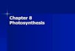 Chapter 8 Photosynthesis - Shaltry's Biology Zonebiozone.weebly.com/uploads/2/7/4/2/274298/chapter_8_photosynthes… · Chapter 8 Photosynthesis . 8-1 NRG and Living ... Plants use