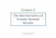 Chapter 6 The Biomechanics of Human Skeletal Muscletdemir.etu.edu.tr/MAK 460_dosyalar/Chapter 6.pdf · Chapter 6 The Biomechanics of Human Skeletal Muscle Basic Biomechanics, 6th