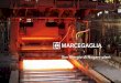 Marcegaglia plant in San Giorgio di Nogaro (Udine) · PDF fileThe plant The Marcegaglia plant in San Giorgio di Nogaro (Udine) is dedicated to the manufacturing of heavy plates for