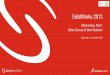 SolidWorks 2013 - Solid Solutions · PDF file2 n 3D Design Simplified SolidWorks 2013 • Powerful Design Tools Powerful New Products and Design Tools • Faster Model Creation More