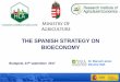 THE SPANISH STRATEGY ON BIOECONOMY -  · PDF fileTHE SPANISH STRATEGY ON BIOECONOMY Dr. Manuel Lainez Budapest, 21 Director INIA th september 2017