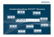 Understanding FICO Scores - pfile. · PDF fileWhen you apply for credit—such as a credit card, auto loan or mortgage—the company from which you are seeking credit checks your credit