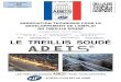LE TREILLIS SOUDÉ - cdn.website-start.de · PDF fileMail : adets@free.fr Site Internet : LE TREILLIS SOUDÉ ® LES TREILLIS SOUDÉS ® ... 50/50 24 20 6,00 2,40 4,026 14,40 57,98