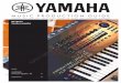 Music Production Guide 2017-06 - · PDF fileE-Piano, Clavinet, Organ, Mellotron, Strings, Brass Section, Synth. Populäre Auswahl von Instrumenten, die Keyboarder in Bands benötigen