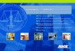 Guidance on Licensing and Ethical Responsibilities for ... · PDF fileGuidance on Licensing and Ethical Responsibilities ... as a Professional Engineer (P.E.) ... 2 Guidance on Licensing