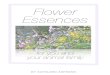 Flower Essences - Flora of Asia™ · PDF fileFlower Essences 101 Introducing Flower Essences Flower Essences are vibrational medicines created from flowers. They are extremely dilute