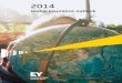 2014 Global insurance outlook - EY - United · PDF file2014 Global insurance outlook 1 In 2014, the global insurance industry is finally emerging from the combination of financial