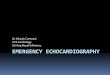 Dr Alistair Cormack ST6 Cardiology Stirling Royal ... Echocardiography.pdf · Indications for emergency echocardiography Pulmonary thromboembolsim (PTE) with haemodynamic/respiratory