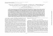 Glucose Toxicity in Prevotella ruminicola: Methylglyoxal ...aem.asm.org/content/59/9/2844.full.pdf · Glucose Toxicity in Prevotella ... increasing concentrations of glucose, the