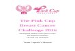 Web viewThe Pink Cup. Breast Cancer. Challenge. 2016. Tift Regional Medical Center. Breast Center. Tift Regional Foundation. The Pink Cup Foundation. Team Captai