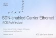 SDN-enabled Carrier Ethernet - · PDF fileSolution Technical Marketing Engineer: Jiri Chaloupka Architect and project lead: Dennis Cai Released: 04/2016 ACE Architecture SDN-enabled