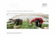 Access to work for Syrian refugees in  · PDF fileAccess to work for Syrian refugees in Jordan: ... Switzerland, or by email: ... Arab States), Maha Kataa (ILO