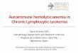 Autoimmune hemolytic anemia in Chronic Lymphocytic hemolytic anemia in Chronic Lymphocytic Leukemia. Carol Moreno MD. Hematology Department and Research Institute. Hospital de la Santa