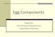 Egg Components.pdf - ISU Public Homepage Serverduahn/teaching/Neobiomaterials and... · Structure of egg White: 60% of the total egg weight. Chalaziferous, inner thin, outer thick,